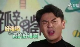 雷佳音娱乐圈爆料,那些不为人知的幕后故事